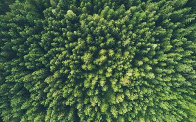 Prácticas para reducir el impacto medioambiental desde los talleres